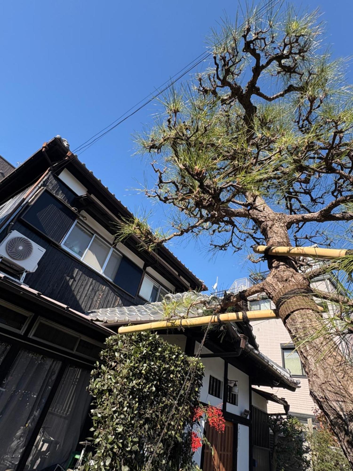 Hotel Kitazawa Cozy House Präfektur Tokio Exterior foto